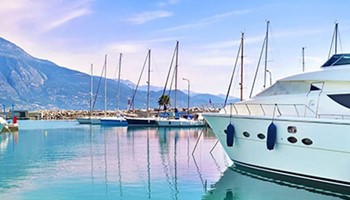 Siber Güvence (Dijital Koruma) Sigortası